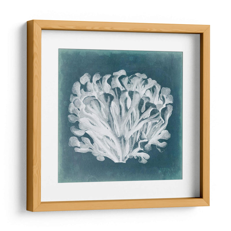 Azure Coral Iii - Vision Studio | Cuadro decorativo de Canvas Lab