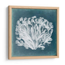 Azure Coral Iii - Vision Studio | Cuadro decorativo de Canvas Lab