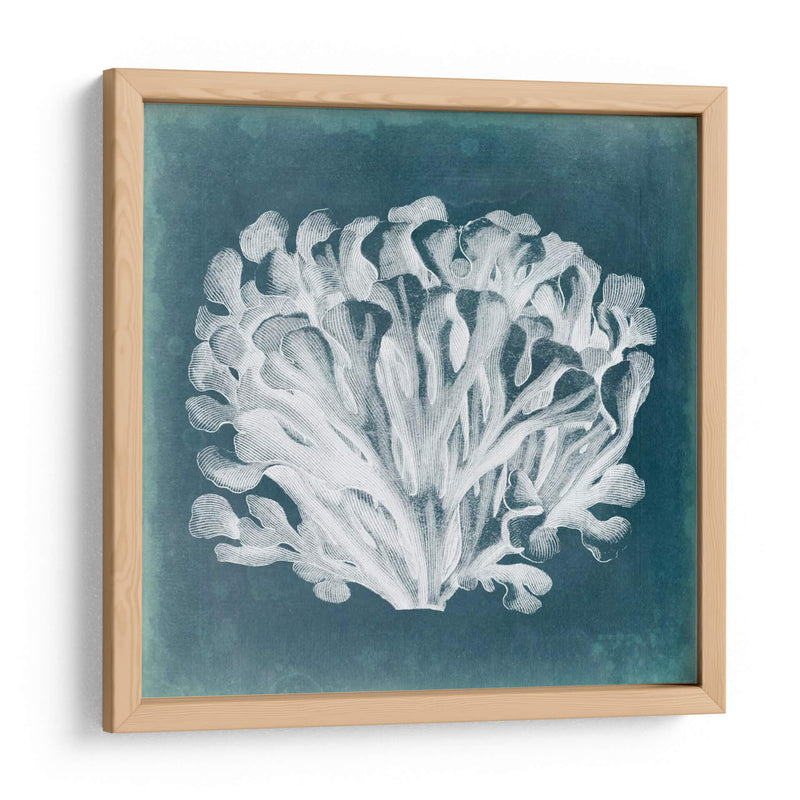 Azure Coral Iii - Vision Studio | Cuadro decorativo de Canvas Lab