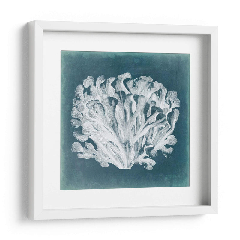 Azure Coral Iii - Vision Studio | Cuadro decorativo de Canvas Lab