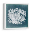 Azure Coral Iii - Vision Studio | Cuadro decorativo de Canvas Lab