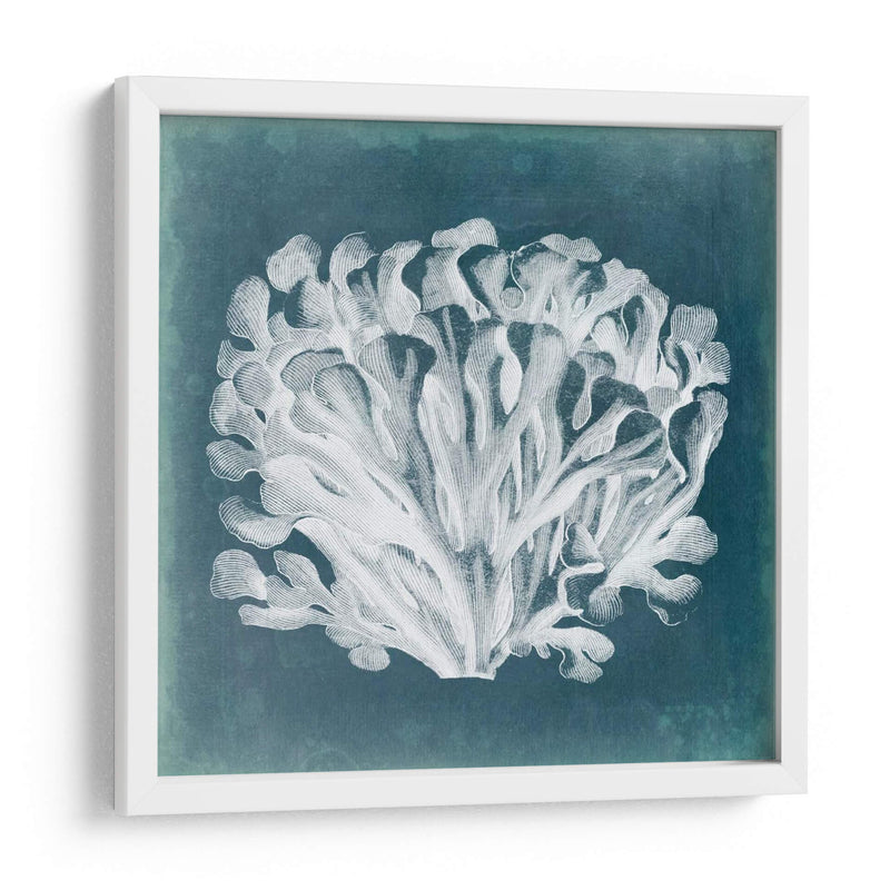 Azure Coral Iii - Vision Studio | Cuadro decorativo de Canvas Lab