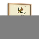 Colibrí De Mango - John James Audubon | Cuadro decorativo de Canvas Lab