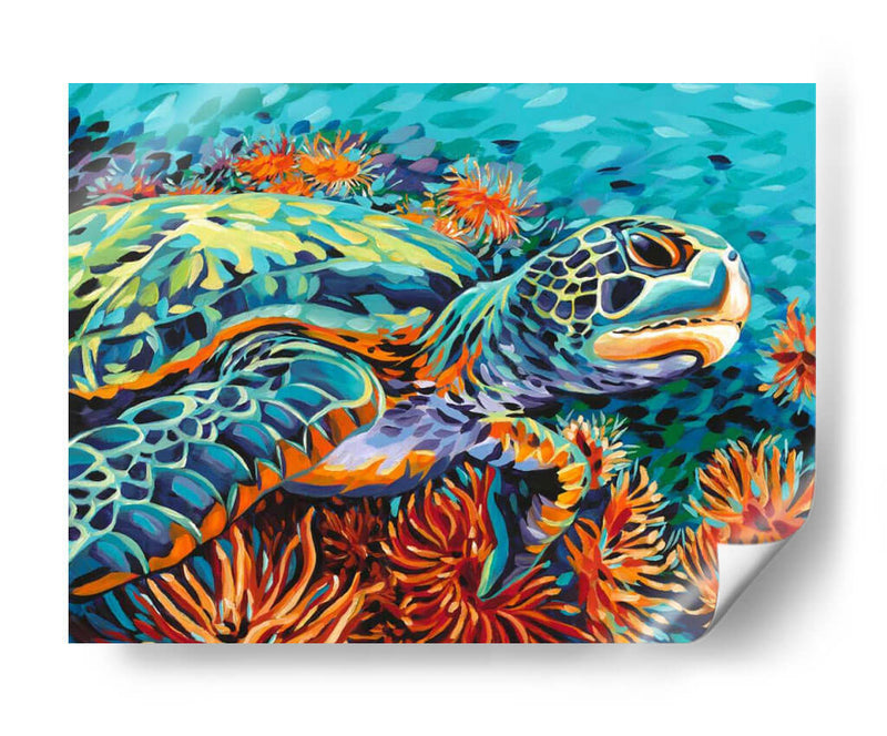 Sea Cariño I - Carolee Vitaletti | Cuadro decorativo de Canvas Lab