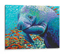Sea Sweetheart Ii - Carolee Vitaletti | Cuadro decorativo de Canvas Lab