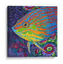 Pescado Tropical Brillante I - Carolee Vitaletti | Cuadro decorativo de Canvas Lab