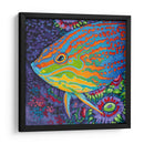 Pescado Tropical Brillante I - Carolee Vitaletti | Cuadro decorativo de Canvas Lab
