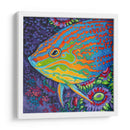 Pescado Tropical Brillante I - Carolee Vitaletti | Cuadro decorativo de Canvas Lab