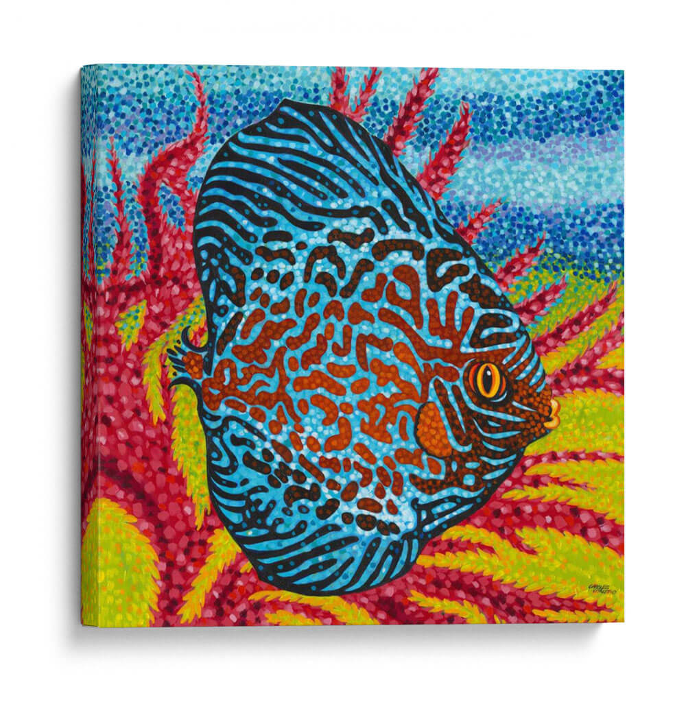 Peces Tropicales Brillantes Ii - Carolee Vitaletti | Cuadro decorativo de Canvas Lab