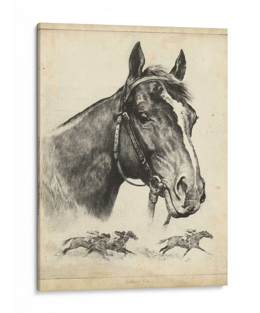 Zorro Galante - R.H. Palenske | Cuadro decorativo de Canvas Lab