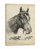 Zorro Galante - R.H. Palenske | Cuadro decorativo de Canvas Lab