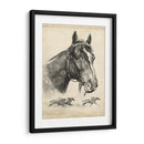 Zorro Galante - R.H. Palenske | Cuadro decorativo de Canvas Lab