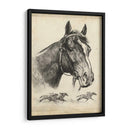 Zorro Galante - R.H. Palenske | Cuadro decorativo de Canvas Lab