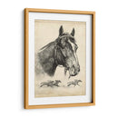 Zorro Galante - R.H. Palenske | Cuadro decorativo de Canvas Lab