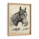 Zorro Galante - R.H. Palenske | Cuadro decorativo de Canvas Lab