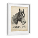 Zorro Galante - R.H. Palenske | Cuadro decorativo de Canvas Lab