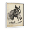 Zorro Galante - R.H. Palenske | Cuadro decorativo de Canvas Lab