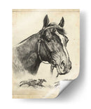 Zorro Galante - R.H. Palenske | Cuadro decorativo de Canvas Lab