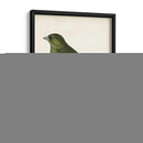 Morris Greenfinch - Morris | Cuadro decorativo de Canvas Lab