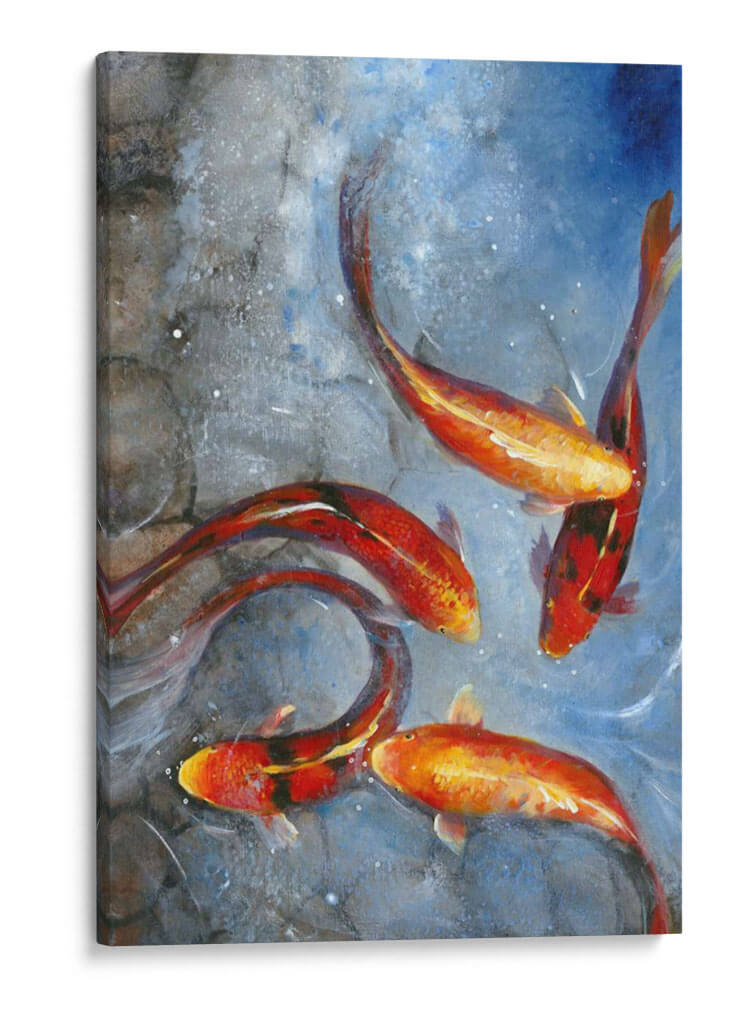 Elegante Koi I - Tim OToole | Cuadro decorativo de Canvas Lab