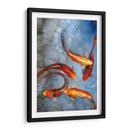 Elegante Koi I - Tim OToole | Cuadro decorativo de Canvas Lab