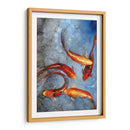 Elegante Koi I - Tim OToole | Cuadro decorativo de Canvas Lab