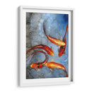 Elegante Koi I - Tim OToole | Cuadro decorativo de Canvas Lab