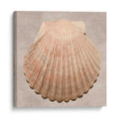 Muestra De Shell Degradado - Renee W. Stramel | Cuadro decorativo de Canvas Lab