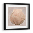 Muestra De Shell Degradado - Renee W. Stramel | Cuadro decorativo de Canvas Lab