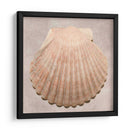 Muestra De Shell Degradado - Renee W. Stramel | Cuadro decorativo de Canvas Lab