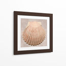 Muestra De Shell Degradado - Renee W. Stramel | Cuadro decorativo de Canvas Lab
