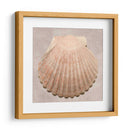 Muestra De Shell Degradado - Renee W. Stramel | Cuadro decorativo de Canvas Lab