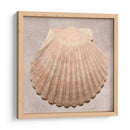 Muestra De Shell Degradado - Renee W. Stramel | Cuadro decorativo de Canvas Lab