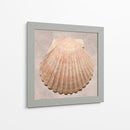 Muestra De Shell Degradado - Renee W. Stramel | Cuadro decorativo de Canvas Lab