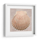Muestra De Shell Degradado - Renee W. Stramel | Cuadro decorativo de Canvas Lab