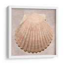 Muestra De Shell Degradado - Renee W. Stramel | Cuadro decorativo de Canvas Lab
