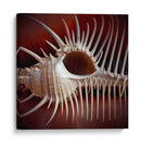 Conchas Macro Viii - Rachel Perry | Cuadro decorativo de Canvas Lab