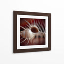 Conchas Macro Viii - Rachel Perry | Cuadro decorativo de Canvas Lab