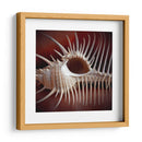 Conchas Macro Viii - Rachel Perry | Cuadro decorativo de Canvas Lab