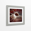 Conchas Macro Viii - Rachel Perry | Cuadro decorativo de Canvas Lab