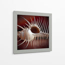 Conchas Macro Viii - Rachel Perry | Cuadro decorativo de Canvas Lab