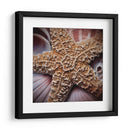 Conchas Macro I - Rachel Perry | Cuadro decorativo de Canvas Lab