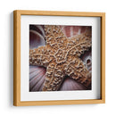 Conchas Macro I - Rachel Perry | Cuadro decorativo de Canvas Lab