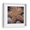 Conchas Macro I - Rachel Perry | Cuadro decorativo de Canvas Lab