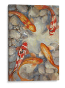 Vibrante Koi I - Tim OToole | Cuadro decorativo de Canvas Lab