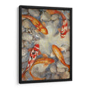Vibrante Koi I - Tim OToole | Cuadro decorativo de Canvas Lab