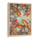 Vibrante Koi I - Tim OToole | Cuadro decorativo de Canvas Lab