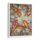 Vibrante Koi I - Tim OToole | Cuadro decorativo de Canvas Lab