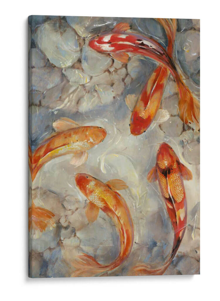 Koi Ii Vibrante - Tim OToole | Cuadro decorativo de Canvas Lab