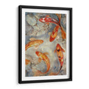 Koi Ii Vibrante - Tim OToole | Cuadro decorativo de Canvas Lab